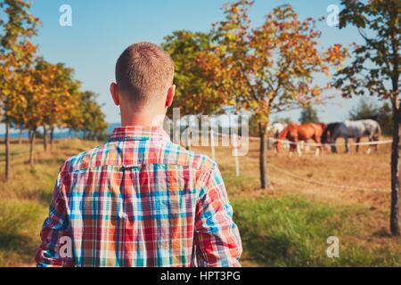 Sommer in der Natur. Junger Mann (Landwirt) zu Fuß auf dem Fußweg entlang der Koppel Pferde.      unter dem Baum ausruhen und beobachten der Pferde. Stockfoto