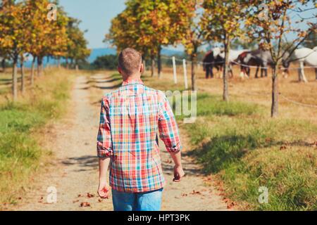 Sommer in der Natur. Junger Mann (Landwirt) zu Fuß auf dem Fußweg entlang der Koppel Pferde.      unter dem Baum ausruhen und beobachten der Pferde. Stockfoto