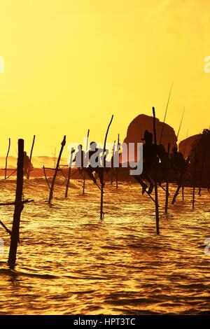 Silhouetten der traditionellen Fischer bei Sonnenuntergang in der Nähe von Galle in Sri Lanka. Stockfoto