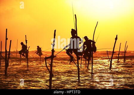 Silhouetten der traditionellen Fischer bei Sonnenuntergang in der Nähe von Galle in Sri Lanka. Stockfoto