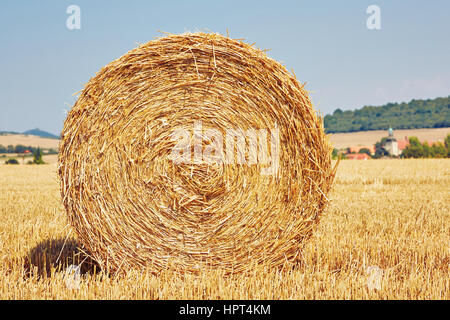 Strohballen auf dem Feld nach der Ernte. Stockfoto