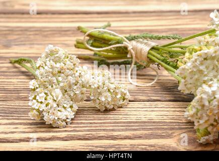 frische Schafgarbe Blumen auf einem hölzernen Hintergrund Stockfoto