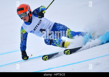 Hokkaido, Japan. 22. Februar 2017. Vorläufer Ski Alpin: Riesenslalom der Herren in der 2017 Sapporo asiatischen Winterspiele in Sapporo Teine in Hokkaido, Japan. Bildnachweis: AFLO SPORT/Alamy Live-Nachrichten Stockfoto