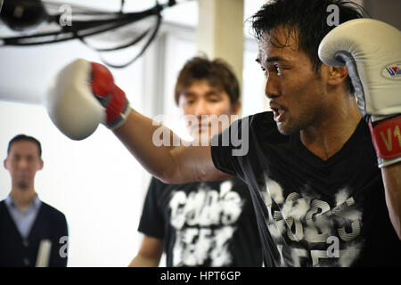 Tokio, Japan. 23. Februar 2017. (R-L) Shinsuke Yamanaka, Shin Yamato Boxen: Shinsuke Yamanaka aus Japan trainiert, während ein Medien-Training bei Teiken Boxing Gym in Tokio, Japan. Bildnachweis: Hiroaki Yamaguchi/AFLO/Alamy Live-Nachrichten Stockfoto