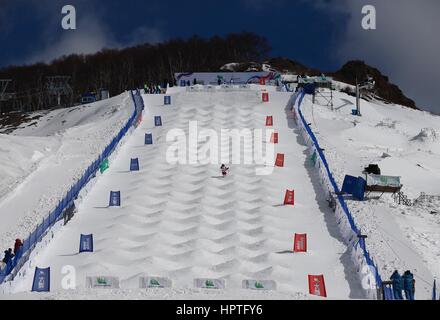 Chongli, Chinas Provinz Hebei. 25. Februar 2017. Dufour Lapointe von Kanada konkurriert in 2016-2017 Thaiwoo FIS Freestyle Skiing Moguls WM in Chongli, Nordchinas Provinz Hebei, 25. Februar 2017. Bildnachweis: Bi 明明/Xinhua/Alamy Live-Nachrichten Stockfoto