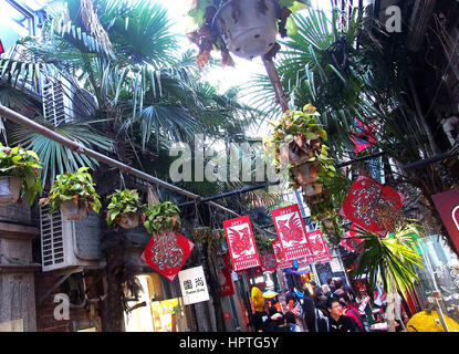 Shanghai. 25. Februar 2017. Pflanzen sind aufgestellt, um grüne Korridore in den Gassen in Tianzifang von Ost-China Shanghai, 25. Februar 2017 machen. Bildnachweis: Chen Fei/Xinhua/Alamy Live-Nachrichten Stockfoto