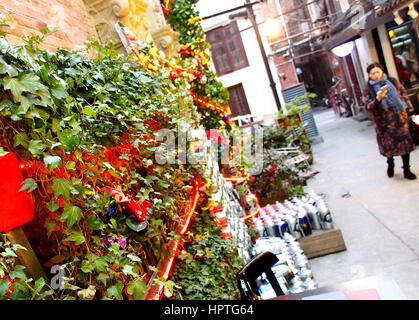 Shanghai. 25. Februar 2017. Pflanzen sind aufgestellt, um grüne Korridore in den Gassen in Tianzifang von Ost-China Shanghai, 25. Februar 2017 machen. Bildnachweis: Chen Fei/Xinhua/Alamy Live-Nachrichten Stockfoto