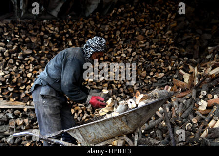 Kabul, Afghanistan. 17. Februar 2017. Ein Mann arbeitet am Holzmarkt in den nördlichen Stadtteil von Kabul, Afghanistan, 17. Februar 2017. Winter hat fast bedeckt, Afghanistan, Auswirkungen auf das Leben der armen Familien, vor allem diejenigen, die keine Erwärmung Ausrüstung, sauberes Wasser oder genug zu essen, mit dem kalten Wetter zu bewältigen haben. In den nördlichen Stadtteil von Kabul viele Leben noch immer in Schlamm Gebäuden und haben kein Geld zum Kauf von Holz, Feuer. Bildnachweis: Dai He/Xinhua/Alamy Live-Nachrichten Stockfoto