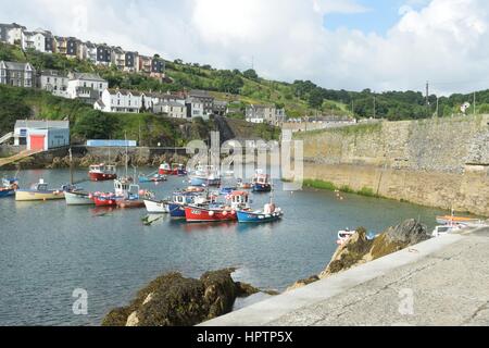 Mevagissey Cornwall, Vereinigtes Königreich - 2. Juli 2016: Hafen von Cornish Fischerdorf mit Häusern im Hintergrund Stockfoto