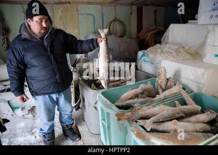 Inuit in Kanada sind Jagd Tiere für Pelz Stockfoto