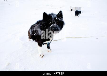 Gojahaven ist eine Inuit-Siedlung im hohen Norden Kanadas. Stockfoto