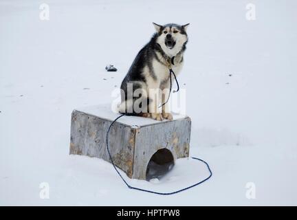 Gojahaven ist eine Inuit-Siedlung im hohen Norden Kanadas. Stockfoto