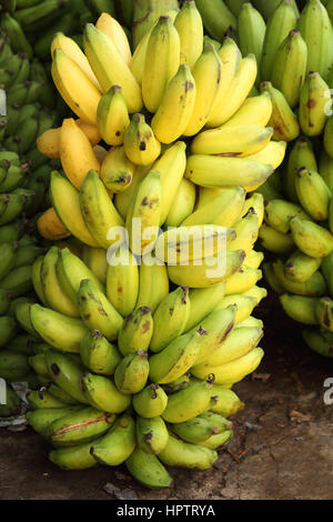 großen Bündel Bananen Stockfoto