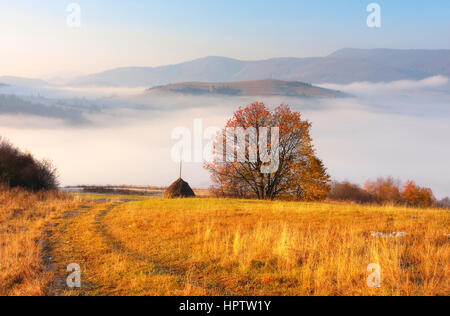 Karpaten nebligen Morgen im Herbst Bergen-Tal Stockfoto