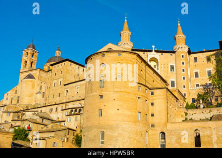 Palazzo Ducale, Duomo und anderen Gebäuden, Centro Storico, Urbino, Marken, Italien Stockfoto