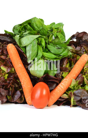 Pflanzlichen Sortimente mit Salat, Tomaten, Karotten, Basilikum. Stockfoto