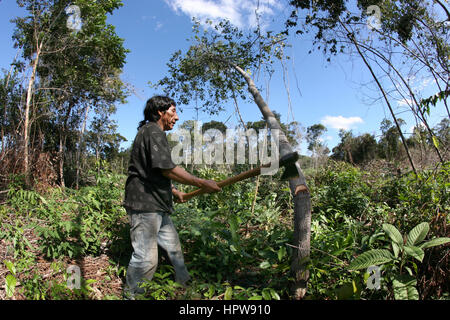 Ein Lrage Bestandteil der Amazone wurde zerstört und in Ackerland überführt. Die wichtigsten angebauten sind Soja, Rasen für Vieh und Mais. Die meisten der Pflanzen werden für die Herstellung von Biokraftstoffen verwendet oder exportiert nach Europa oder USA für Tierfutter Stockfoto
