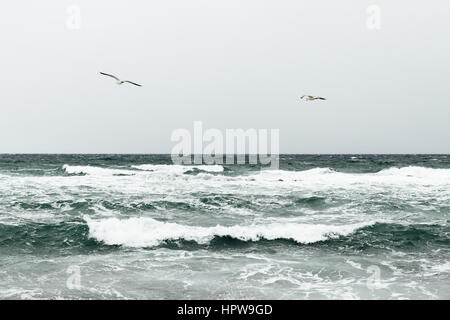 Zwei Möwen fliegen über die Wellen, minimalistischen Seelandschaft, soft-Fokus Stockfoto