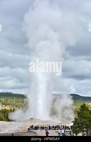 Old Faithful Geysir Stockfoto