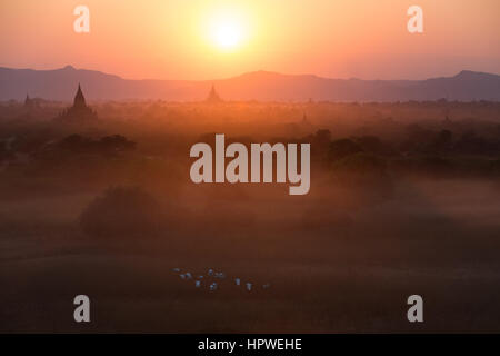 Sonnenaufgang und Sonnenuntergang in Bagan, Myanmar Stockfoto