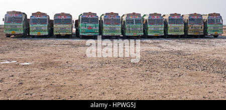 LKW-Flotte in einer Saline geparkt. Indien hat die zweitgrößte Netz der Straßen in der Welt Stockfoto