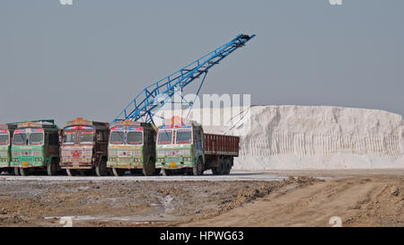 Eine Flotte von LKW parkte vor einem Salz Haufen in einem Werk in Gujarat, Indien. Eine bedeutende Amout der Welt Salz kommt aus dem Inneren der Staat Stockfoto