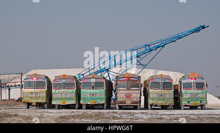 Eine Flotte von LKW parkte vor einem Salz Haufen in einem Werk in Gujarat, Indien. Eine bedeutende Amout der Welt Salz kommt aus dem Inneren der Staat Stockfoto