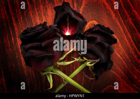 Verblasste Rosen auf einem dunklen Tisch. Symbol des Todes. Stockfoto