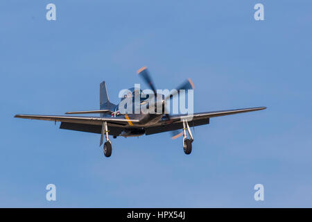 P-51 Mustang Kämpfer am Flügel des FreedomTour der historischen Oldtimer WWII Krieg Flugzeuge am Flughafen Venedig in Venedig Florida Stockfoto