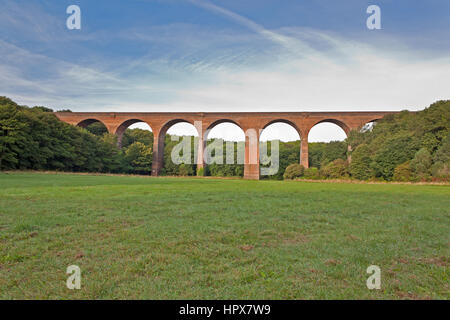 eine rote Eisenbahnviadukt in eine Wiese mit blauem Himmel Stockfoto