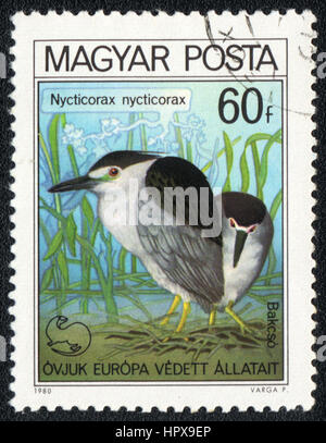 Eine Briefmarke gedruckt in Ungarn zeigt einen Vogel Nycticorax Nycticorax aus Serie Vogelnest, ca. 1980 Stockfoto