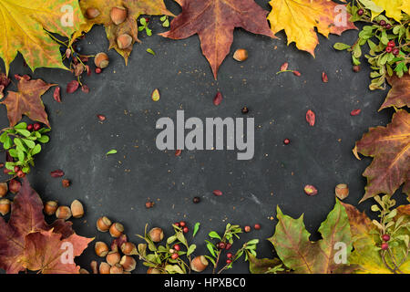 Zusammensetzung von Haselnüssen, getrockneten Beeren, Früchte und farbenfrohe Blätter auf einem Darck Hintergrund mit Exemplar. Stockfoto