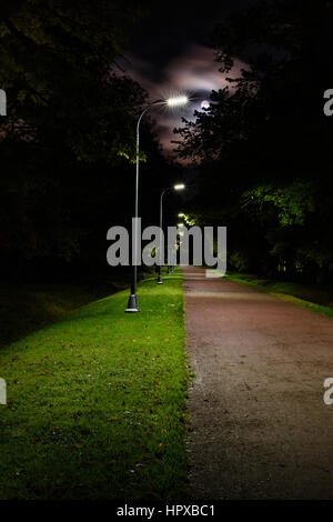 Am späten Abend im Park, einsame Gasse mit Straßenlaternen. Stockfoto