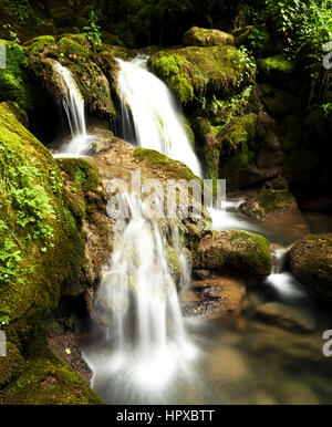 vertikale Landschaft mit Wasser Creek im bulgarischen grünen Wald, Herbst Stockfoto