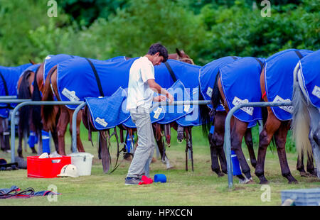 Ein Kerry Packer gesponserten Poloturnier im Cowdray Park, Easebourne, in der Nähe von Midhurst in West Sussex: Trauzeugen Fürsorge für die Pferde. Stockfoto