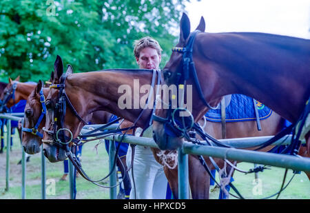 Ein Kerry Packer gesponserten Poloturnier im Cowdray Park, Easebourne, in der Nähe von Midhurst in West Sussex: Trauzeugen Fürsorge für die Pferde. Stockfoto