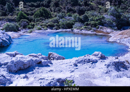 Thermalbad Rotorua Neuseeland Stockfoto