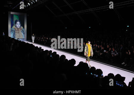 Mailand, Italien. 24. Februar 2017. Fell-Italien-Laufsteg bei Milan Fashion Woche Frauen F/W 2017-2018. Bildnachweis: Gaetano Piazzolla/Pacific Press/Alamy Live-Nachrichten Stockfoto