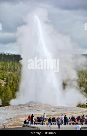 Old Faithful Geysir Stockfoto