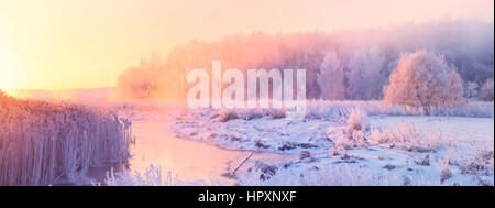 Frostigen Winterbäume durch die aufgehende Sonne beleuchtet Stockfoto