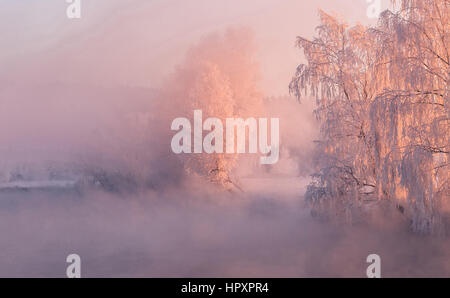 Winter-Sonnenaufgang über dem nebligen Fluss mit gefrorenen Bäumen durch die rote aufgehende Sonne beleuchtet Stockfoto