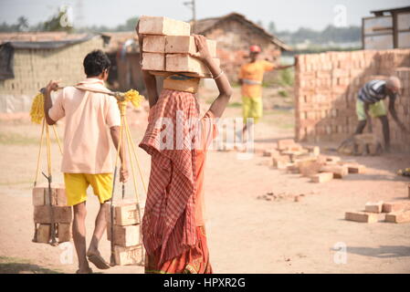 West Bengal, Indien. 24. Februar 2017. Es gibt Tausende von Kindern, die den besten Teil ihres Lebens in die 400 Ziegelöfen in Norden 24 Parganas, West-Bengalen arbeiten verbringen. Die Ziegelöfen dienen als eine Quelle des Lebensunterhalts für Tausende von ungelernten Arbeitern aus über dem Land und aus dem Nachbarland Bangladesch. Der saisonale Charakter der Arbeit zieht Arbeitsmigranten, viele von ihnen landlose Bauern. Bildnachweis: Pazifische Presse/Alamy Live-Nachrichten Stockfoto