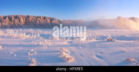 Nebel mit frostigen Winter Sonnenaufgang Bäume durch die aufgehende Sonne beleuchtet Stockfoto