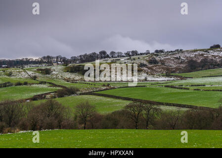 Ayrshire Hang mit Hecken, die quer über des Bildes, die Dächer der Wirtschaftsgebäude kann Weg in der Ferne gesehen und Bäume sind in Stockfoto