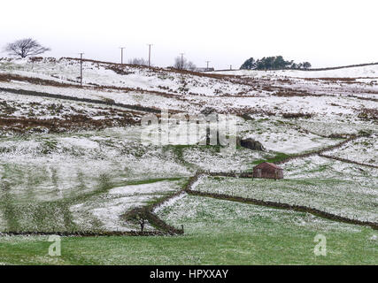 Ein Viehtreiber Schuppen auf einem leicht schneebedeckten Hang. Bäume in der Ferne mit Telefonmasten läuft das Bild. Stockfoto