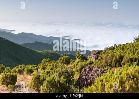 Eine Spur zum Gipfel Pico Ruivo Achada Teixeira, Madeira, Portugal. Stockfoto