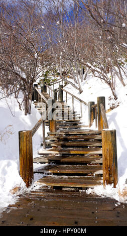 Schnee-Treppe-Gehweg und Geländer im Wald Noboribetsu Onsen Schnee Winter Nationalpark in Jigokudani, Hokkaido, Japan Stockfoto