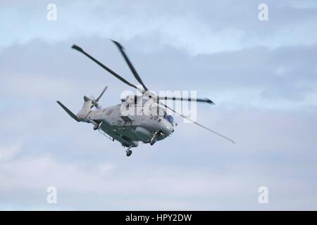 Königliche Marine Merlin Hubschrauber Stockfoto