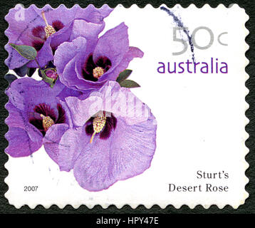 Australien - CIRCA 2005: Eine gebrauchte Briefmarke aus Australien, ein Bild einer Sturts Wüsten Rose Blume, ca. 2005. Stockfoto