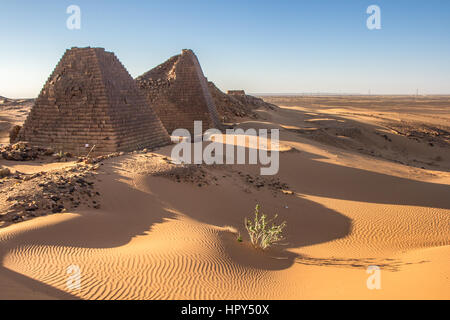 Meroe-Pyramiden bei Sonnenaufgang. Meroe, Sudan. Stockfoto